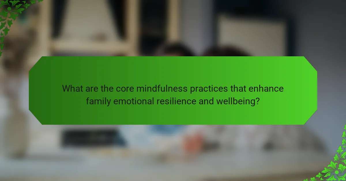 What are the core mindfulness practices that enhance family emotional resilience and wellbeing?
