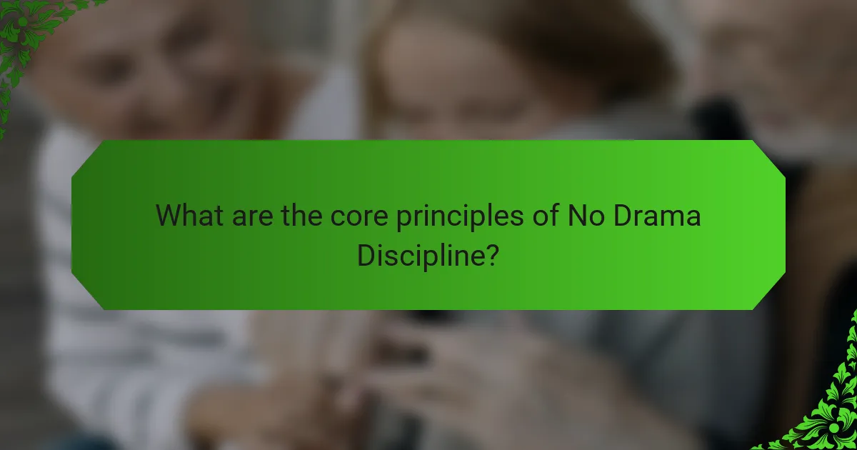 What are the core principles of No Drama Discipline?
