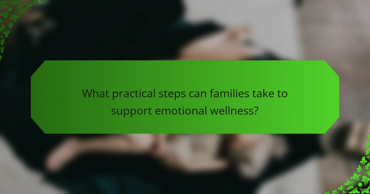 What practical steps can families take to support emotional wellness?